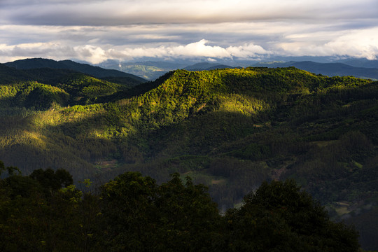 景迈山