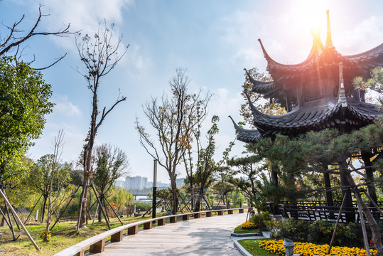 扬州市图书馆的场馆和广场道路