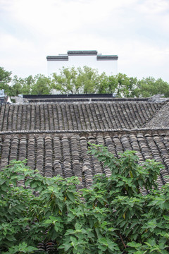 同里