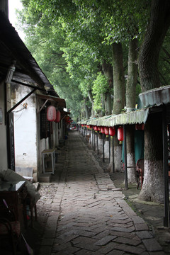 水乡同里