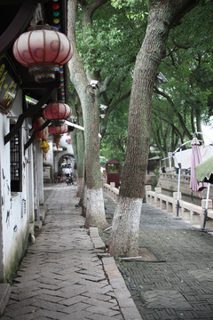水乡同里