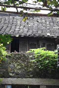 水乡同里