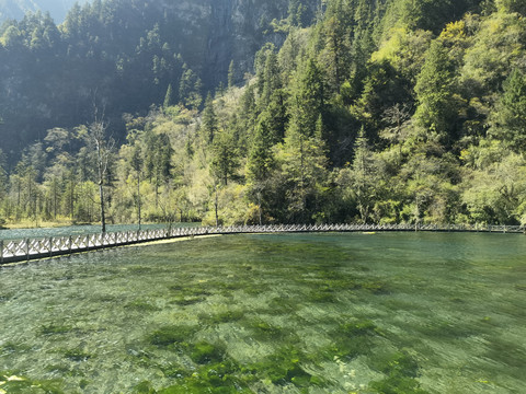 绿水青山
