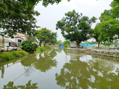 水乡风景