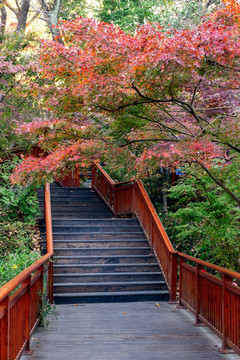 栖霞山步道