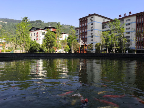 鱼池