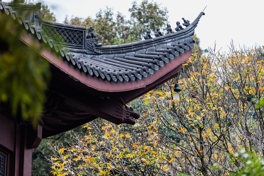 杭州法喜寺