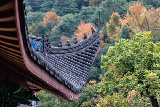 杭州法净寺