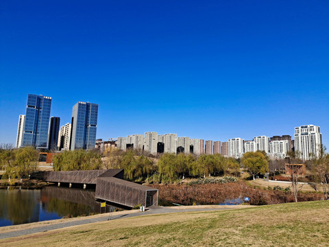 康平湖公园冬日美景