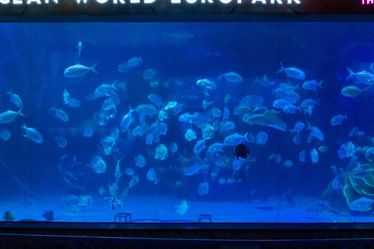 海洋馆海底世界