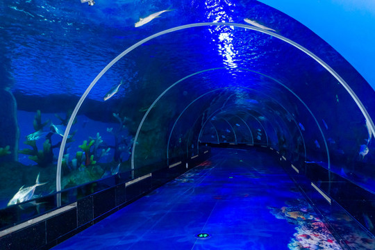 海洋世界海底隧道