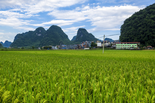 广西乡村田园