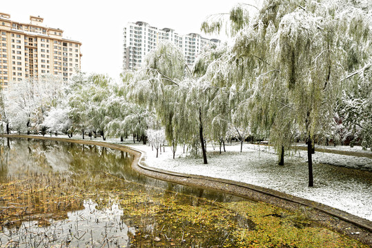 河北省石家庄裕华区绿洲公园雪景