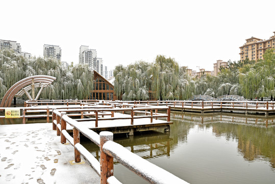 河北省石家庄裕华区绿洲公园雪景