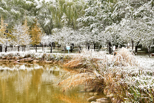 河北省石家庄裕华区东环公园雪景