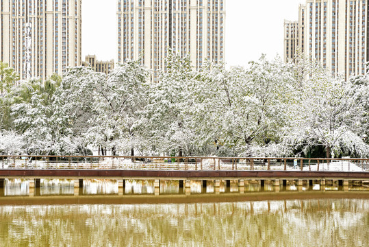 河北省石家庄裕华区东环公园雪景