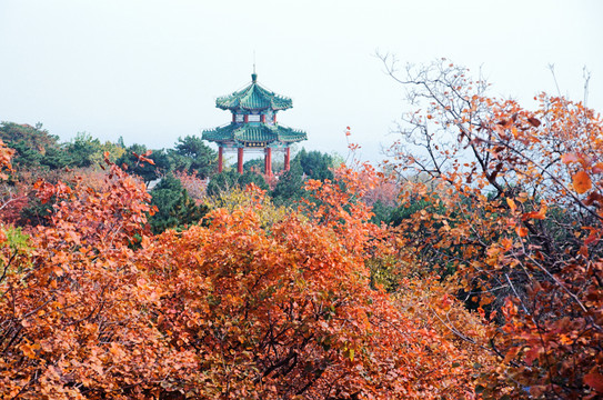 北京西山森林公园半山亭