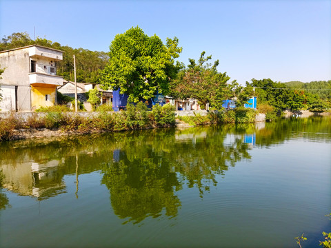 乡村水塘