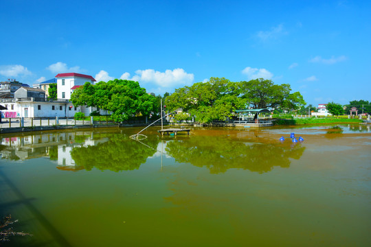 鱼塘风景