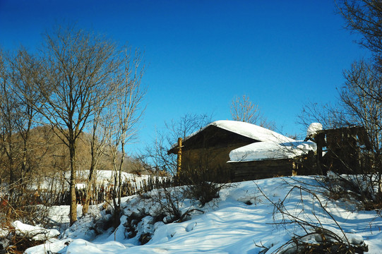 冬天雪乡积满厚雪的山村房屋