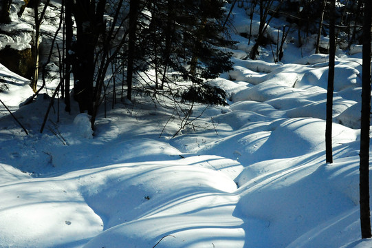 冬天东北雪乡森林里厚厚的积雪