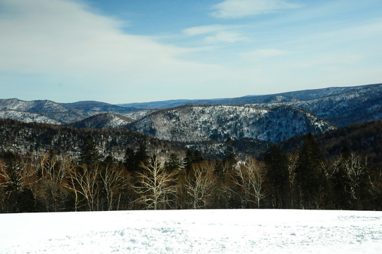 冬天晴朗天空下积满白雪的山坡