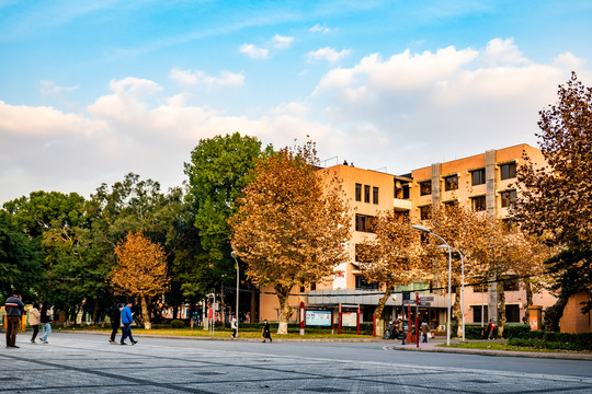 四川大学