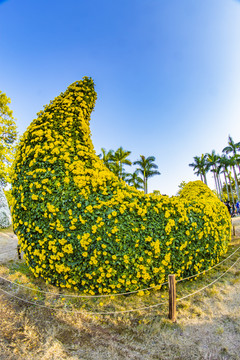 花坛造型