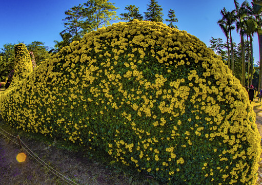 花坛造型