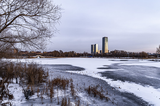 长春北湖国家湿地公园冬季风景