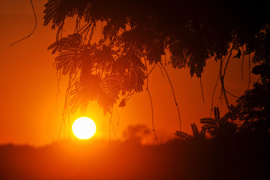 江边夕阳