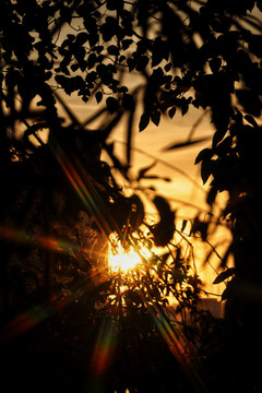 江边夕阳