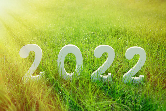 草坪上的2022新年背景