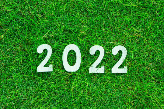 草坪上的2022新年背景
