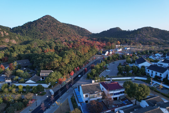 天平山红枫全景