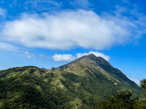 高山峡谷