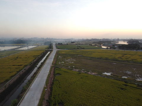 穿越田野公路