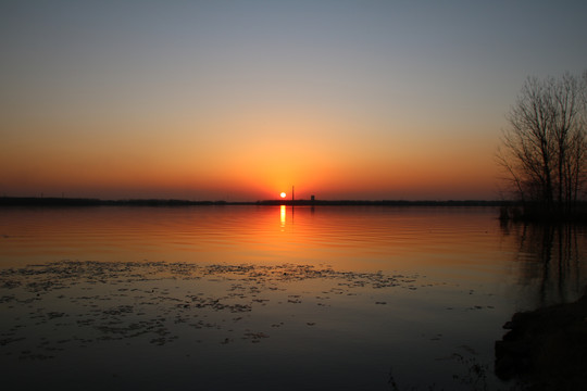 夕阳红组图