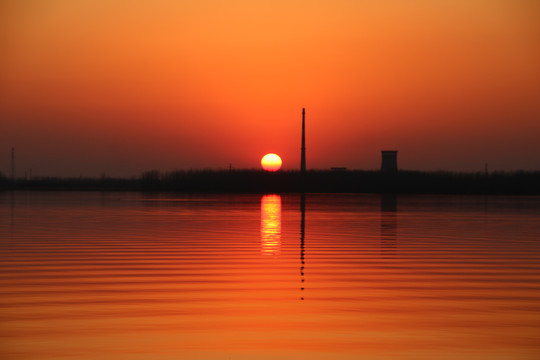 夕阳红组图