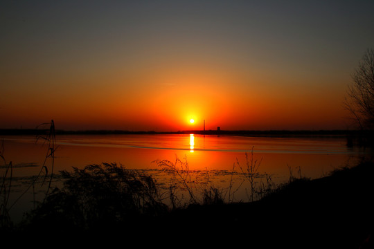 夕阳红组图