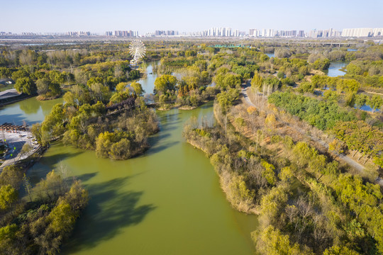 灞渭湿地