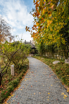 扬州瘦西湖风景区的徐园桃花坞