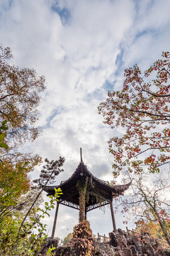 扬州瘦西湖风景区的徐园桃花坞