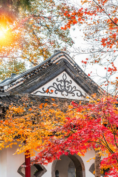 秋天扬州大明寺的枫叶与御碑亭