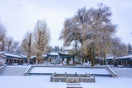 古酒泉雪天