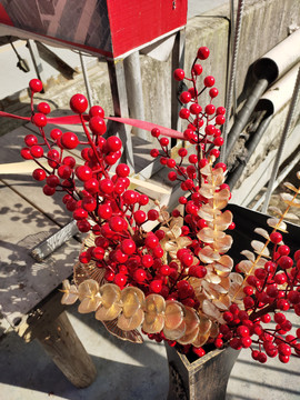 红豆盆景家庭装饰