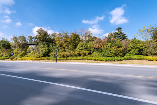 秋天中国扬州城市树林道路背景