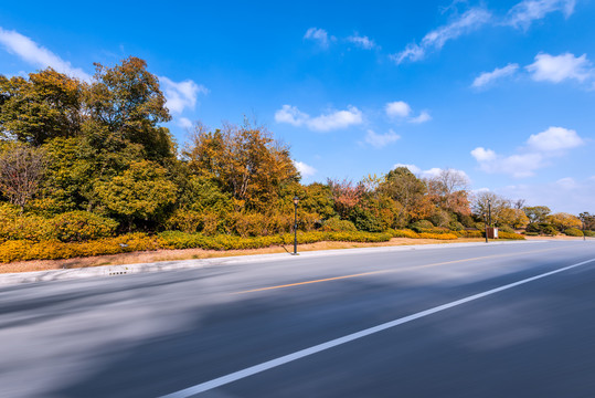 秋天中国扬州城市树林道路背景