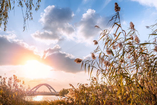 夕阳下的扬州运河三湾河岸