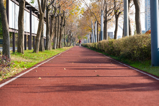 健身散步慢跑塑胶跑道